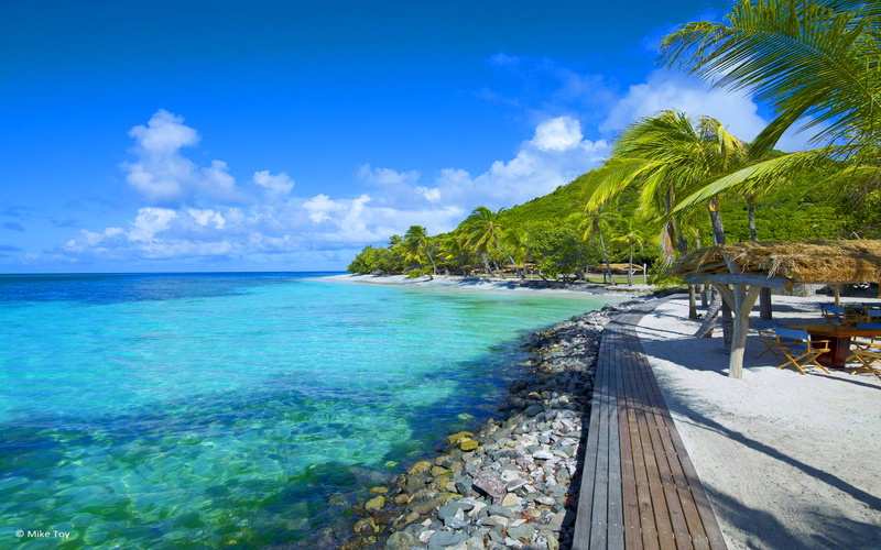 paradise, sea, palm, beautiful, islands, beach, photo, vincent, petit, 1080P, turquoise, st, hd, rainforest, desktop, caribbean