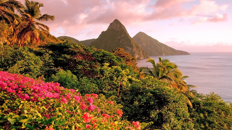 sunset, idyllic, caribbean, flower, bay, landscape, soufriere, sky, environment, flowering plant, nature, plant, growth, tranquility, beauty in nature