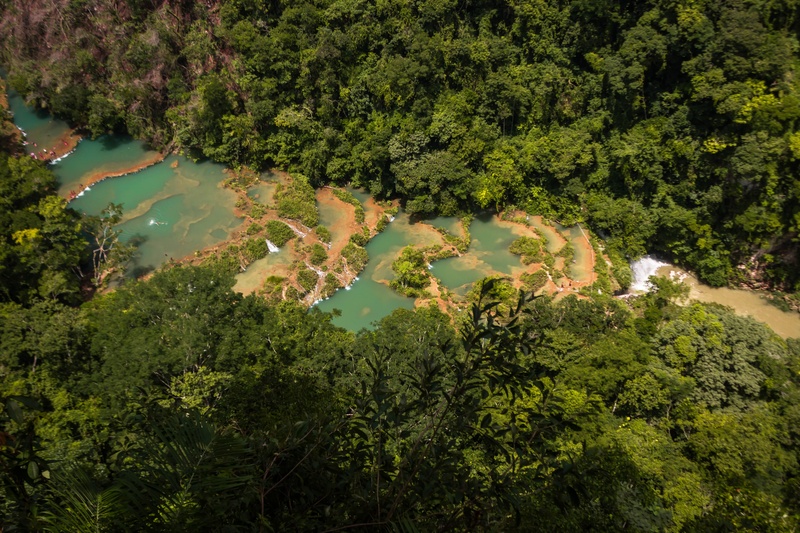 tranquil scene, no people, forest, landscape, green color, tranquility, lush foliage, beauty in nature, day, scenics - nature, 5K, tree, altaverapaz, water