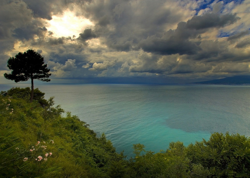 Golfo di Napoli, tree, 1080P, golfo, Bay of Naples, Italy, di, napoli, clouds, coast