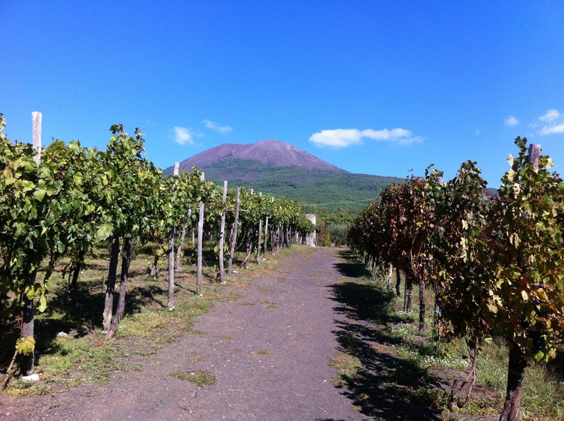 direction, beauty in nature, day, cloud - sky, vineyard, winemaking, sky, landscape, 2K, tree, volcanic, plant, diminishing perspective, footpath, scenics - nature