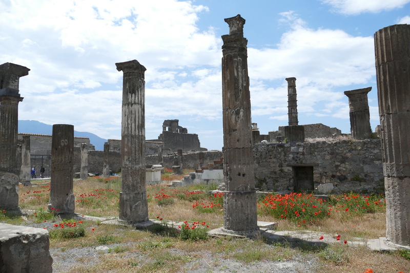 pompei, tourism, vesuvius, damaged, tombstone, unesco world heritage, excavation, history, 5K, outdoors, deterioration, pompeii, poppy flower, world heritage