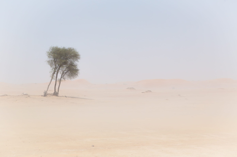 dubai, sand, photo, tranquil scene, sky, pale, no people, arid climate, sand dune, sand ripple, semi-arid, beauty in nature, dune, tranquility, united arab emirates