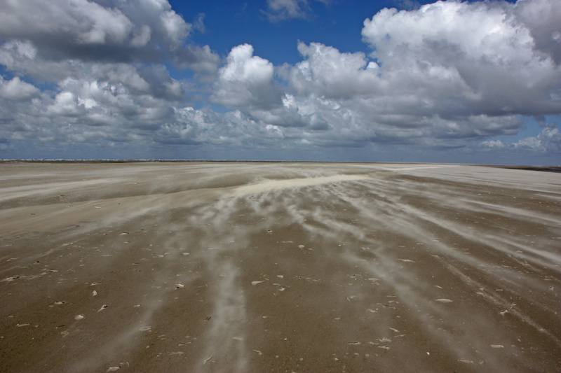 semi-arid, coast, scenics - nature, 4K, horizon, sankt-peter obi, beauty in nature, horizon over land, day, desert, sandstorm, north sea, landscape, urban skyline