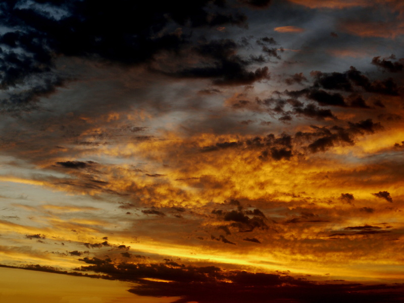 Morgenrot, sunset, cloudscape, scenics - nature, Sunrise, storm, storm cloud, Dramatic, idyllic, ominous, outdoors, skies, yellow, meteorology, environment