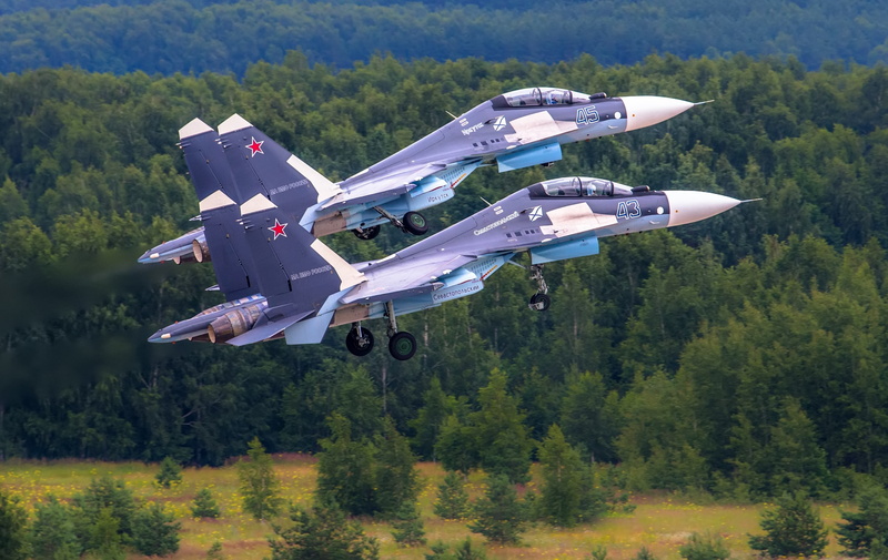 Military Aircraft, vehicle, aircraft, Trees, Purple, 30, 2K, military, Sukhoi Su