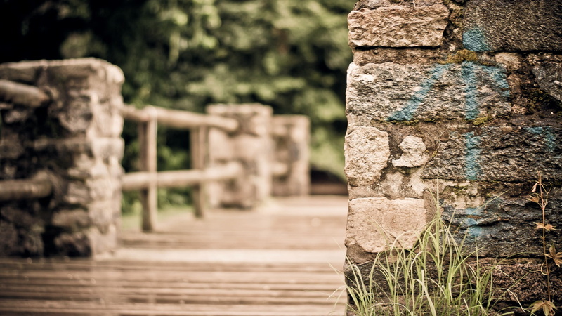 leafed, green, stone material, textured, architecture, ancient, art and craft, closeup, nature, bridge, history, weathered, day, built structure, close-up