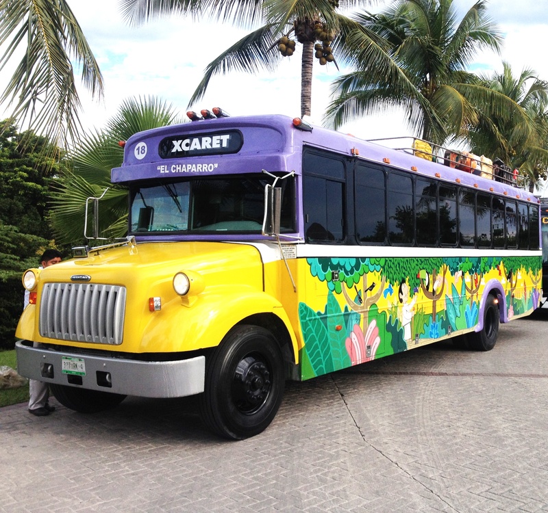 xcaret, mode of transportation, palm tree, street, tree, motor vehicle, city, plant, mexico, méxico, land vehicle, day, outdoors, architecture, cancun