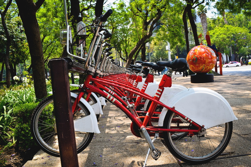 wheels, bicycles, outdoors, red bike, bike, sunlight, tree, nature, green color, city, toys, day, red, tourism, transportation, cyclist, mode of transportation
