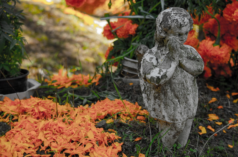 figurine, méxico, tombstone, leaf, boy, cdmx, tree trunk, statue, no people, craft, ground, mexico, day, maple leaf, representation, maple, flagstone, traditions