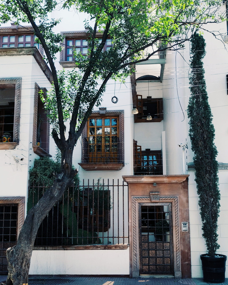 cdmx, tree, window, branch, building exterior, no people, apartment, nature, architecture, city, residential district, 2K, reflection, río ebro 84, day