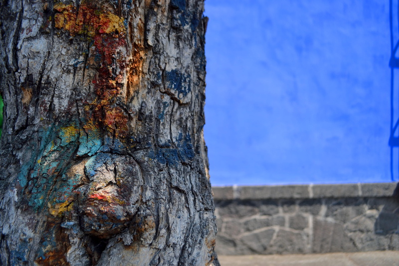 sky, no people, damaged, natural pattern, wood - material, pattern, textured, textured effect, nature, outdoors, ciudad de méxico, 4K, blue wall, plant