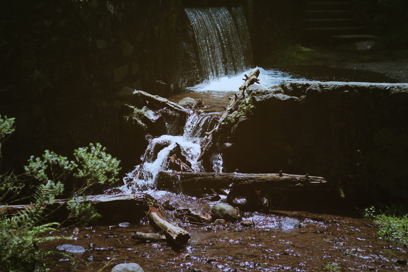 trees, day, flowing water, motion, outdoors, blurred motion, flowing, tree, 5K, nature, movement, splashing, water, falling water, stream - flowing water