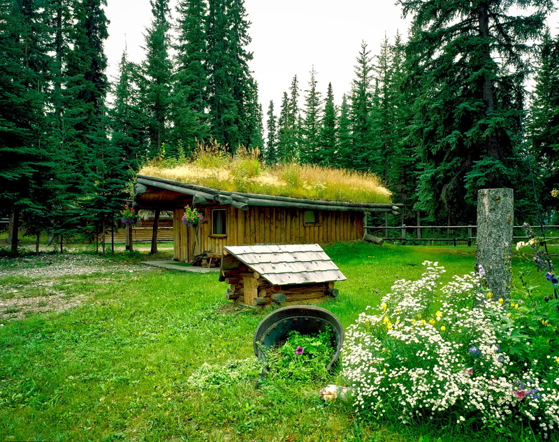grass roof, land, wheel, tree, picturesque, hdr, tranquility, growth, landscape, green color, surrounded, north pole, outdoors, rustic, field, wilderness