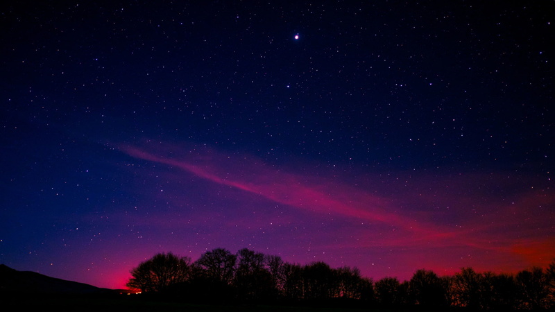 plant, beauty in nature, no people, silhouette, tranquility, tree, astronomy, space, 1080P, constellation, starry, pink, galaxy, low angle view, sky, star