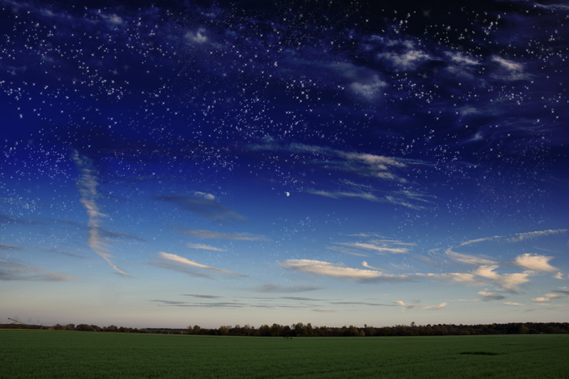 plant, sky, photo, green, field, outdoors, rural Scene, 5K, blue, time, no People, scenics, twilight, star - Space, milky way, star, meadow, scenics - nature