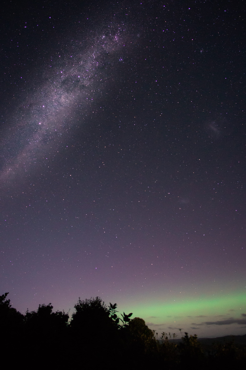 forest, aurora, star, stars, no people, northern lights, astronomy, milky way, idyllic, tranquility, mountains, star - space, longexposure, silhouette