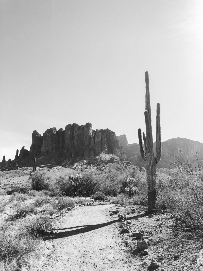 saguaro, scenics - nature, sky, superstition mountains, phoenix, apache junction, environment, arid climate, beauty in nature, nature, land, tranquil scene