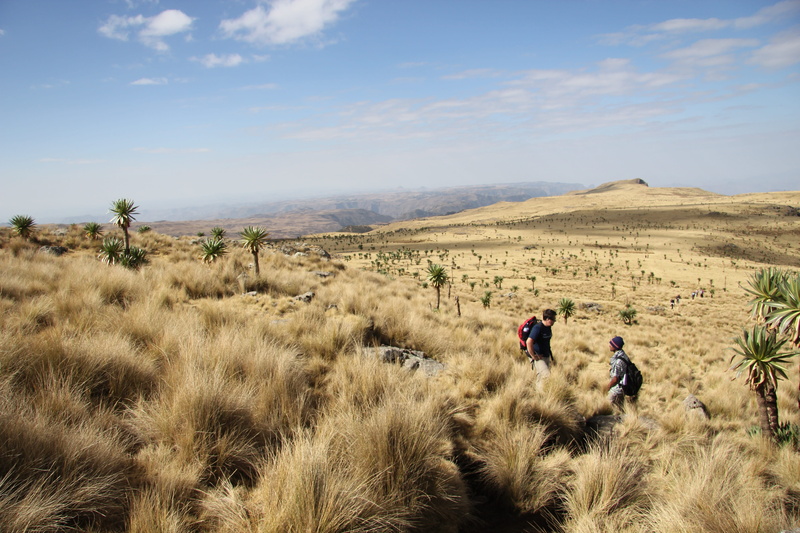 real people, Ethiopia, land, scenics, Simian, cholla Cactus, new Mexico, sonoran Desert, non-urban scene, simian national park, men, leisure activity, mountain Biking