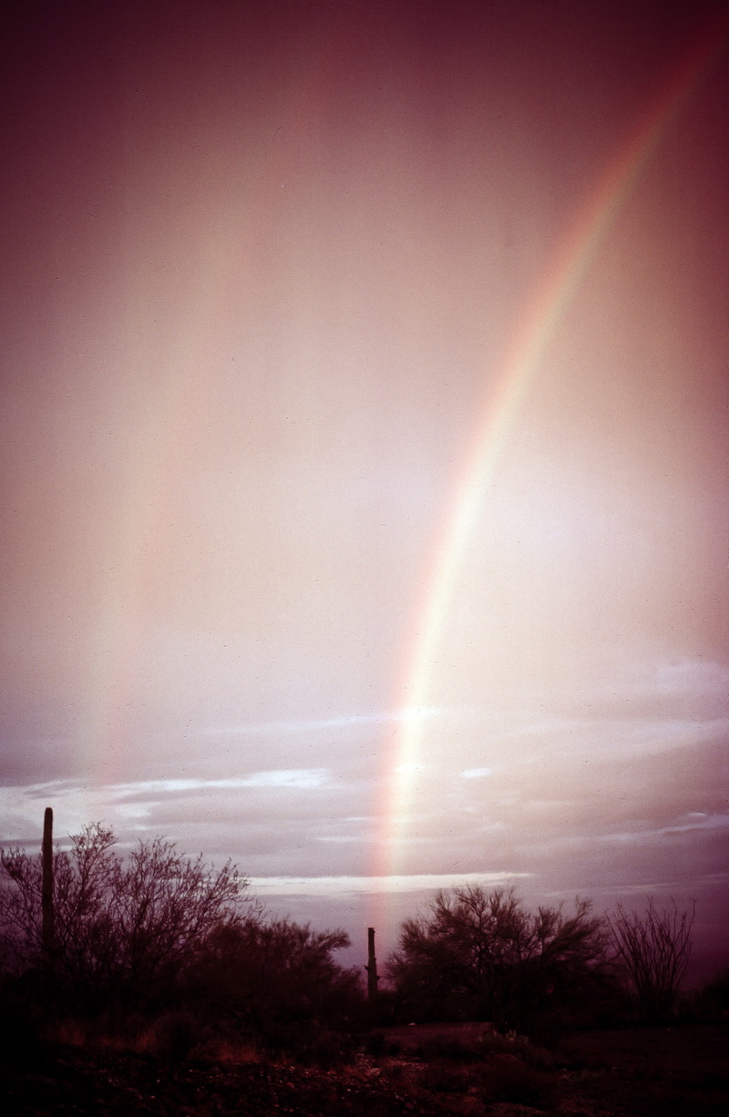 double rainbow, silhouette, desert, multi colored, cacti, weather, cactuses, scenics - nature, yellow, arizona, curve, gray, colorful, tucson, idyllic