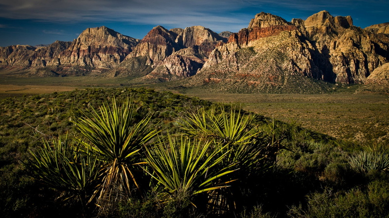 scenics - nature, shrubland, mountainous landforms, non-urban scene, sky, arid climate, 1080P, red rock canyon, beauty in nature, mountain, sandstone
