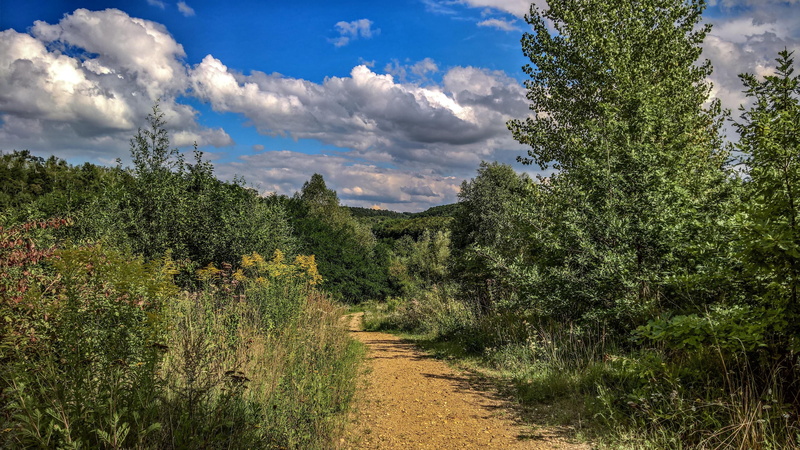 non-urban scene, nature, cloud, 4K, scenics - nature, footpath, direction, grass, tranquil scene, plant, leaf, tranquility, beauty in nature, path, land
