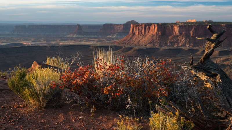 canyon, landscape, desert, wilderness, badlands, shrubland, rock, 4K, sky, canyonlands, ecosystem