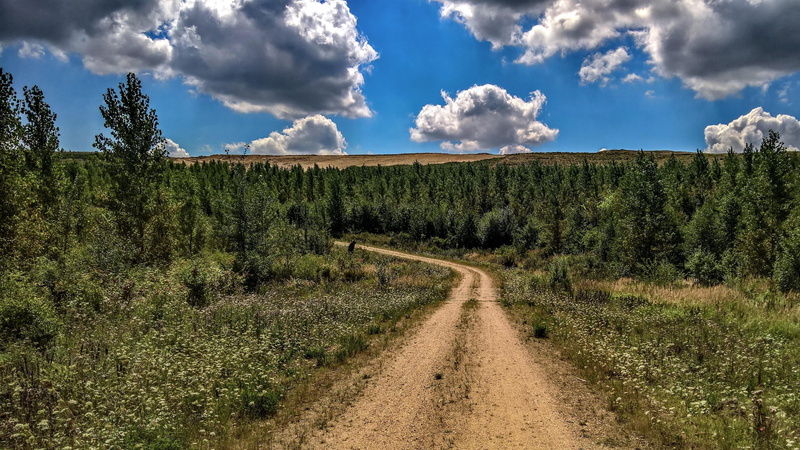 wilderness, path, 4K, forest, dirt road, tranquil scene, cloud, road, beauty in nature, tranquility, nature, outdoors, sky, direction, no people, plant
