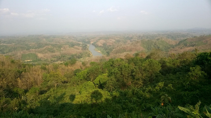 environment, forest, ecosystem, hill, green color, hill station, nature reserve, highland, mountain, non-urban scene, land, foliage, outdoors, rainforest