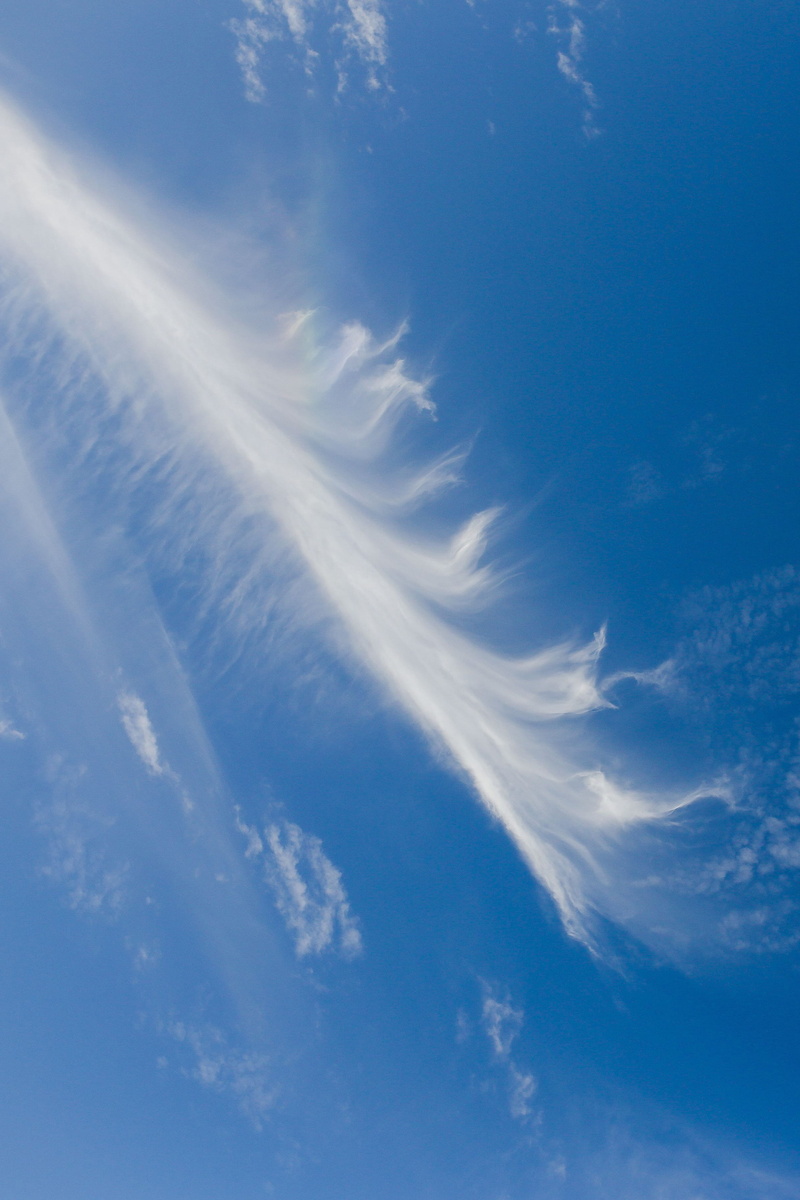 wispy, day, low angle view, outdoors, tranquility, fluffy, no people, clear, air, heaven, blue, Cloudy, nature, beauty in nature, cloud, 2K, backgrounds