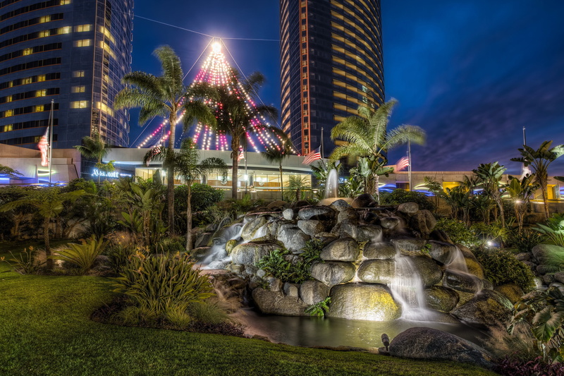 green, building, palm tree, leafed, 4K, motion, modern, nature, plant, building exterior, San Diego, HDR, trees, water, built structure, tree, city, travel destinations