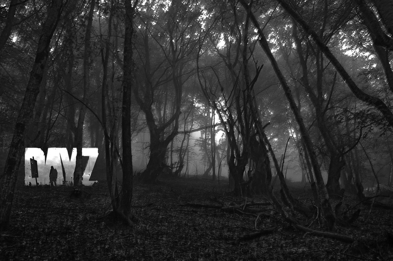 2K, video games, DayZ