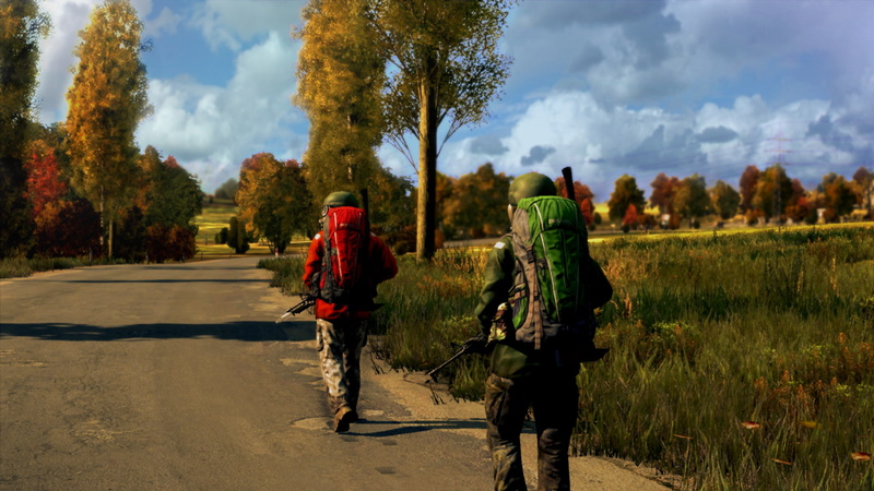 DayZ Mod, Arma 2: DayZ Mod, Video Game, 1080P