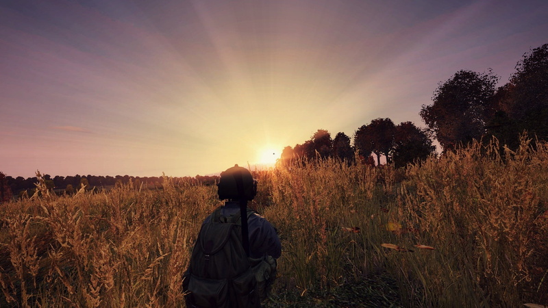 environment, hood - clothing, golden, rural scene, one person, sun, person, DayZ, nature, leisure activity, lifestyles, walking, plants, plant, sunset