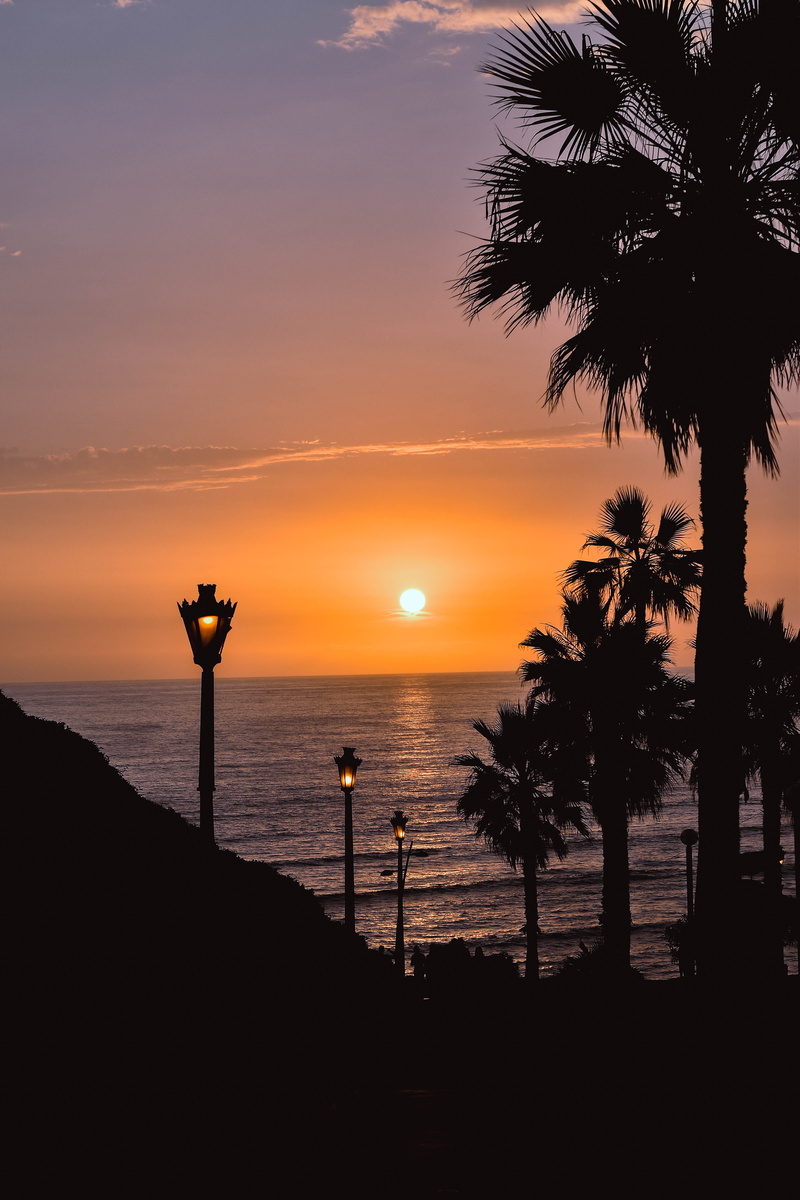 unsplash, lima, atardecer, orange color, tree, forest, street, sunet, palm tree, sky, sun, mar, sunny, outdoors, no people, tranquil scene, tropical climate
