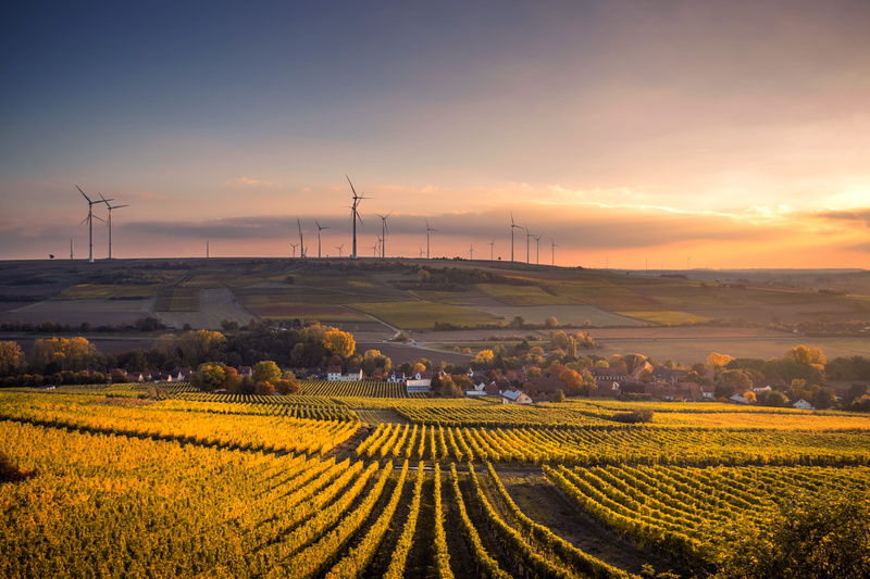 farm, sky, shot, plant, environmental conservation, structural, dramatic sky, outdoors, yellow, green, tranquility, tranquil scene, environment, scenics - nature