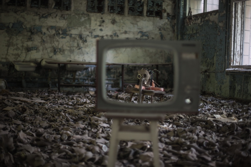 chernobyl, selective focus, radiation, focus on background, ukraine, mammal, do, urban explorer, domestic cat, messy, young animal, wendelin, vertebrate
