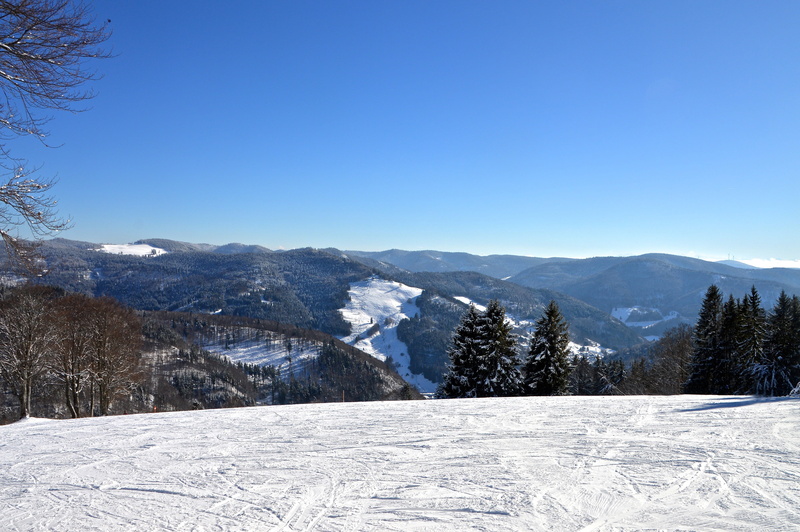 panoramic image, tranquil scene, nature, cold, 2K, pine woodland, holiday, winter, hike, forest, leafed, bridge, black forest, landscape, ice, hill, beginners