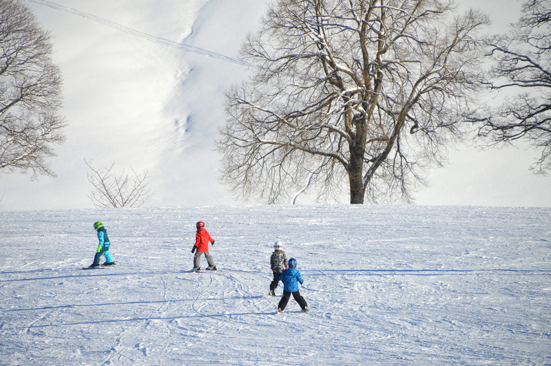 leisure activity, snow, winter, sky, ski run, four, black forest, landscape, child, 2K, ski lessons, beginners, females, travel, sport, clothing, playing