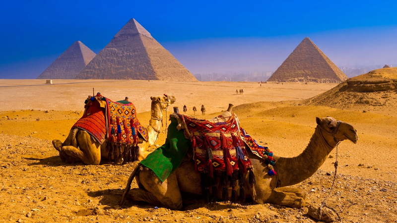 arid climate, archaeology, animal, the past, 1080P, domestic animals, sunlight, sky, pyramid, animal themes, outdoors, desert, travel destinations, travel
