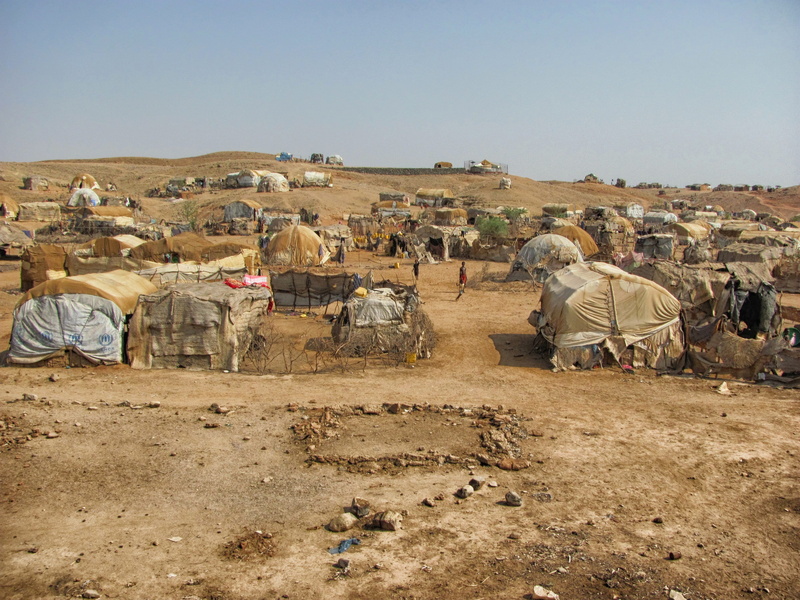 Tents, mammal, no people, outdoors, history, architecture, camel, tens, sand, desert, displaced, africa, arid climate, group of animals, land, 2K, climate