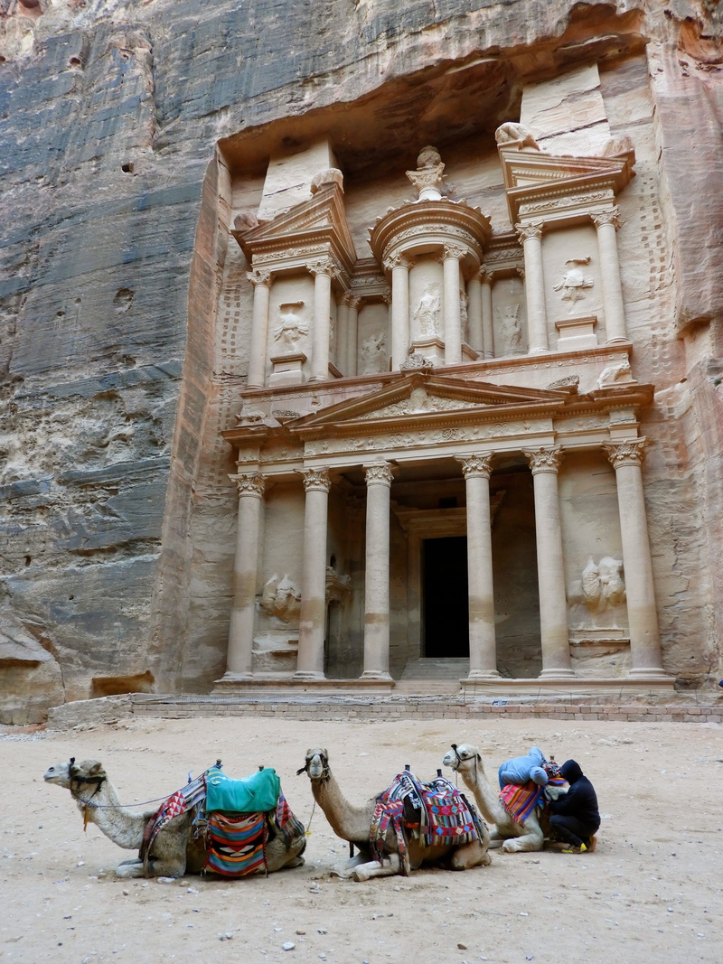 built structure, mammal, day, canyon, old, domestic animals, ancient civilization, archaeology, group of animals, domestic, building exterior, vertebrate