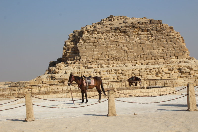 culture, outdoors, desert, animal wildlife, pets, domestic animals, day, 5K, the past, egyptian, old ruin, khufu, ancient civilization, africa, built structure
