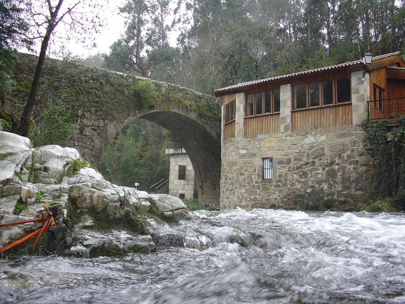 plant, Arbo, tree, water, motion, rock, built structure, Galicia, construction, no people, waterfront, Spain, outdoors, architecture, civil works, water mill