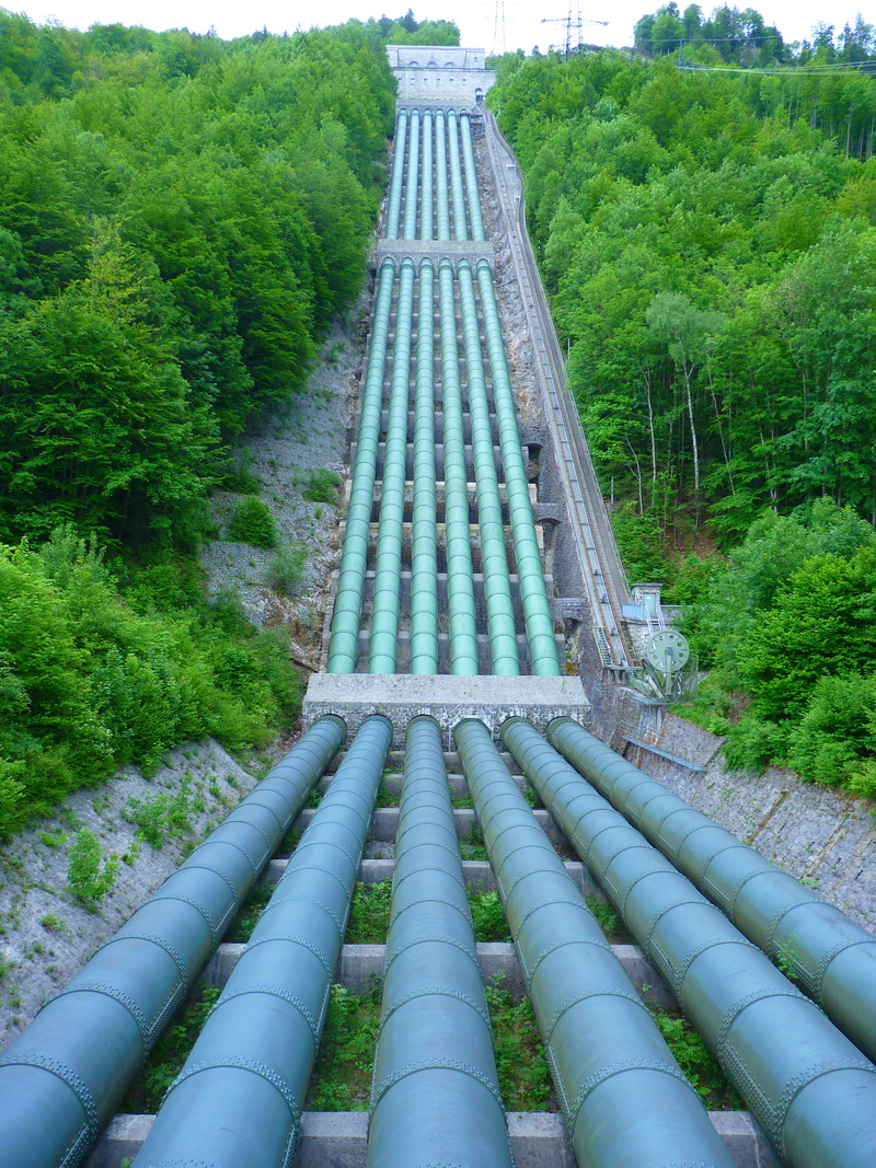 Water Pipe, full pipe flowmeters, line, pipe - tube, lush foliage, outdoors, nature, foliage, industry, forest, growth, grass, tree, pipeline, pipe, plant