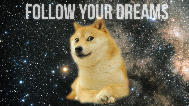 1080P, doge, inspirational, animals, motivational