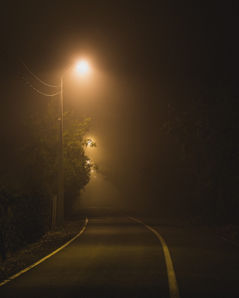speed, nature, highway, no People, curve, fog, foggy, light, empty, travel, scenics, transportation, illuminated, street light, glow, beside, 2K, tree