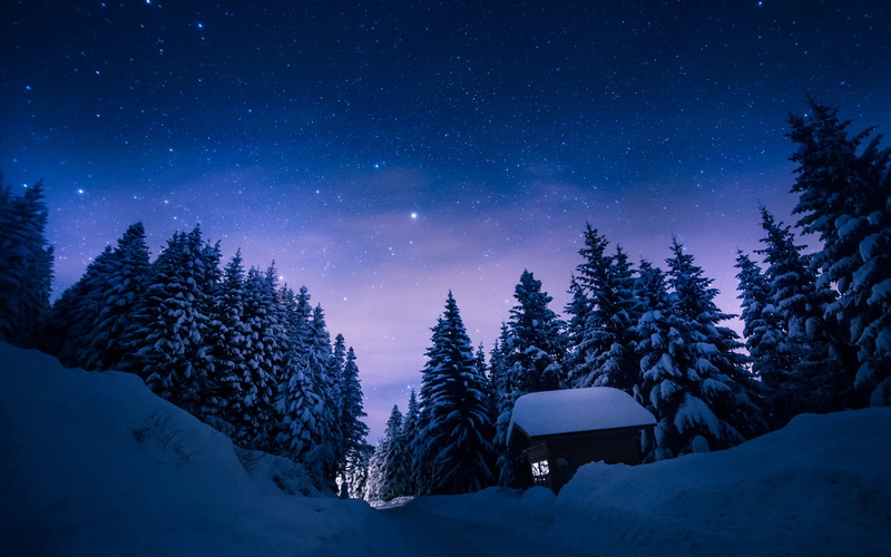 forest, no people, space, covering, 1080P, tranquil scene, pine tree, star - space, path, trees, non-urban scene, winter, cabin, snow, astronomy, stars