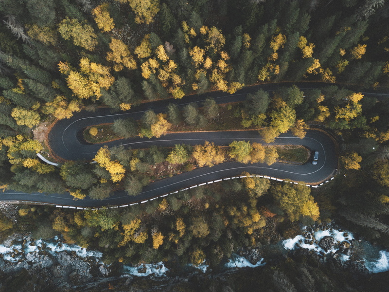 pine trees, autumn, curve, forest, environment, top, drone view, reflection, trees, woods, curved, outdoors, roadway, photo, drone photography, land, fir trees