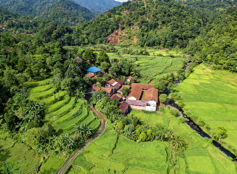 stream, scenic, fields, photography, landscape, land, architecture, daytime, growth, day, daylight, colors, drone view, houses, plantation, rice, tranquility
